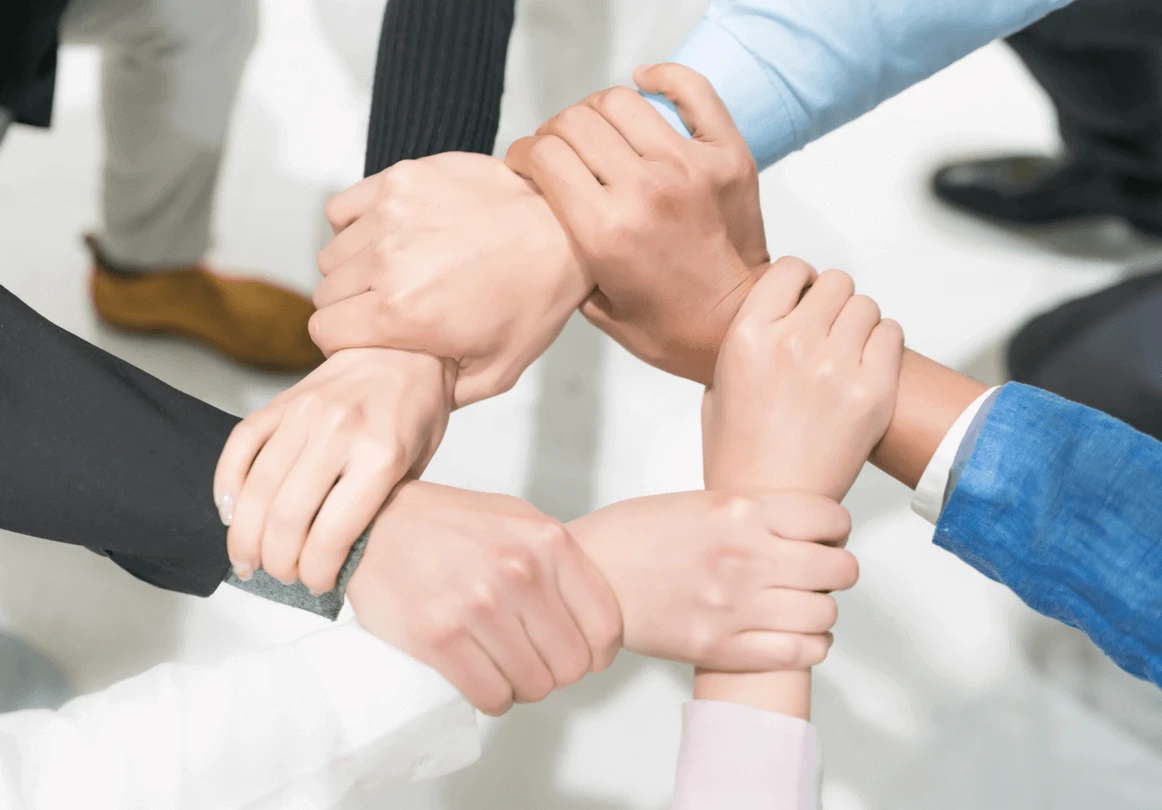 资深的行业专长